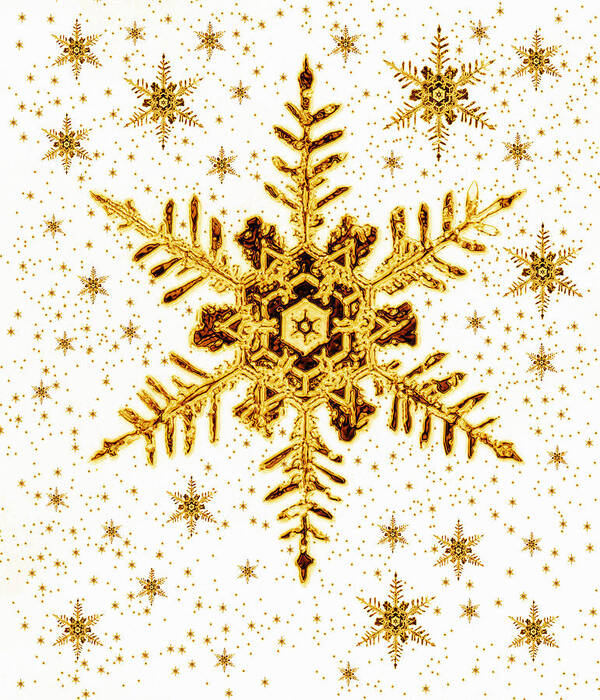 Snowflake Art Print featuring the photograph Snowflakes by Mehau Kulyk