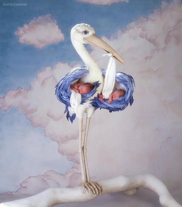 Baby Art Print featuring the photograph Mother Stork by Anne Geddes