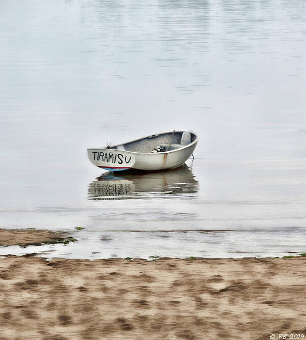 Beach Art Print featuring the photograph Tiramisu #1 by Richard Bean