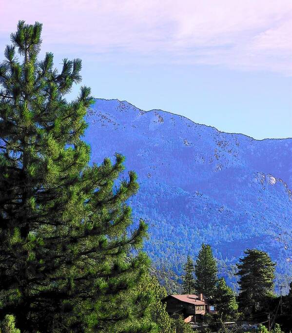  Art Print featuring the photograph Idyllwild - Houses on the Hill #11 by Lisa Dunn