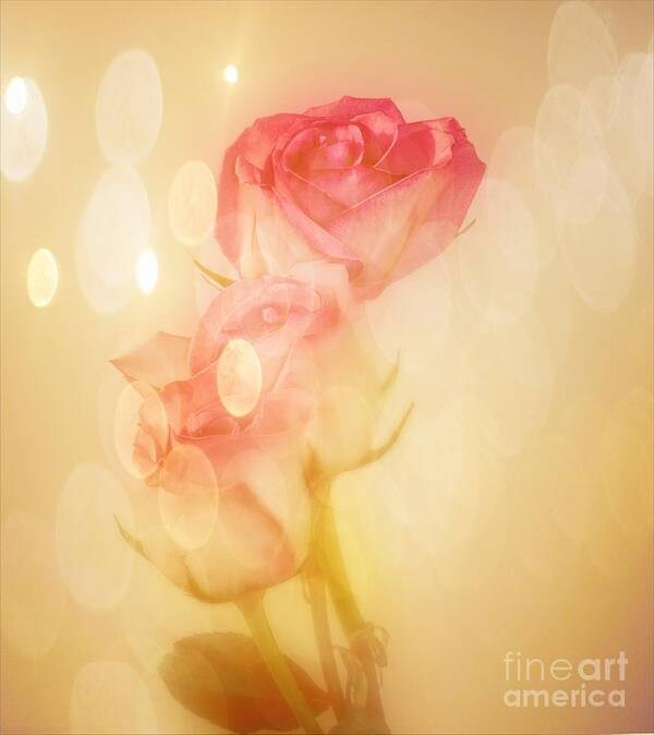 Roses Art Print featuring the photograph Autumn Roses by Shirley Mangini
