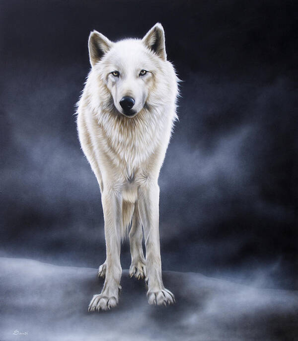Arctic Art Print featuring the painting 'Between the White and the Black' by Sandi Baker