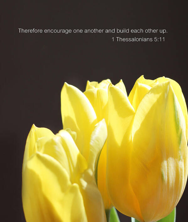 Tulips Art Print featuring the photograph Build Each Other Up Tulips by Inspired Arts