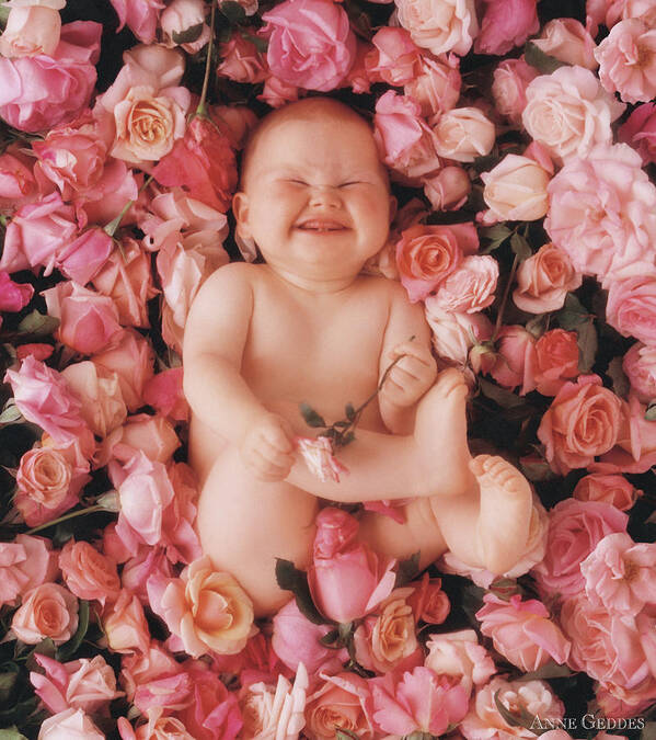 Roses Art Print featuring the photograph Cheesecake by Anne Geddes