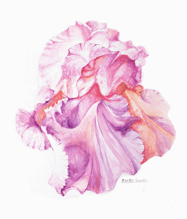 Iris Art Print featuring the painting Floating Iris 1 by Rachel Lowry