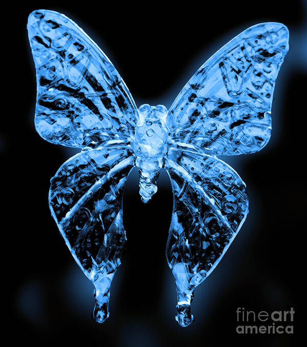 Butterfly Art Print featuring the photograph Ice Wing Butterfly by Cassandra Buckley