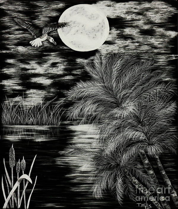 Scratch Art Print featuring the drawing Night Flight by Terri Mills