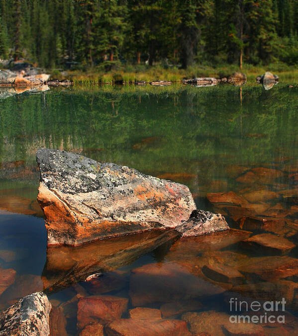 Rocks Art Print featuring the photograph Pink Rocks by Lisa Redfern