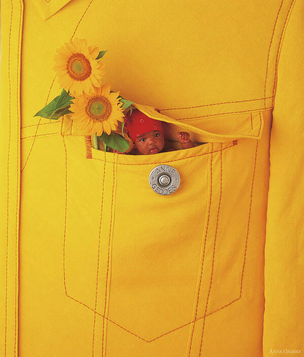 Sunflowers Art Print featuring the photograph Small Change by Anne Geddes