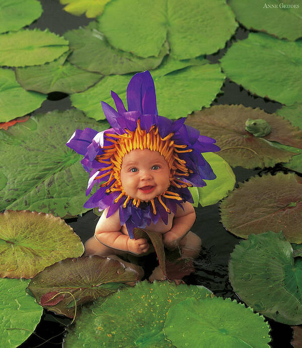 Flower Art Print featuring the photograph Tayla as a Waterlily by Anne Geddes