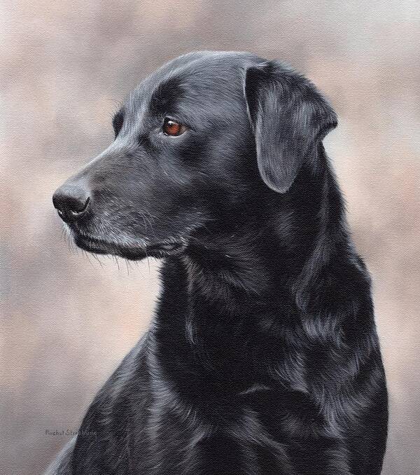Black Labrador Art Art Print featuring the painting Black Labrador Painting #2 by Rachel Stribbling