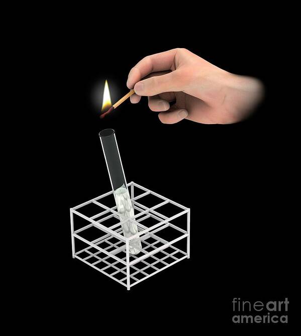 Black Background Art Print featuring the photograph Burning Splint Test #2 by Mikkel Juul Jensen/science Photo Library
