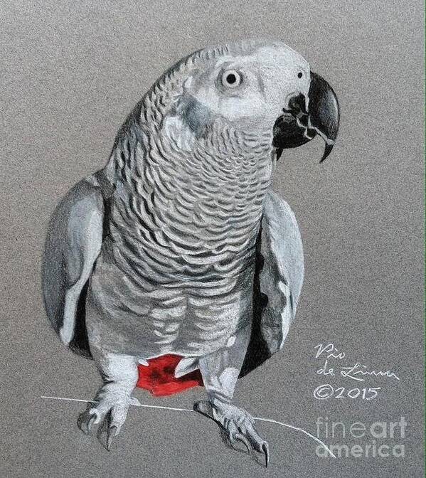 Parrot Art Print featuring the drawing African Grey Parrot #5 by Pio De Lima