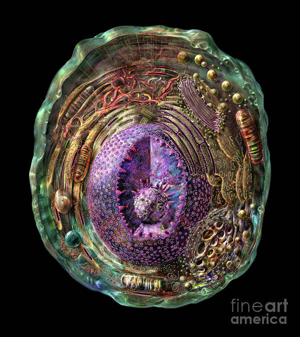 Animal Art Print featuring the digital art Animal Cell by Russell Kightley