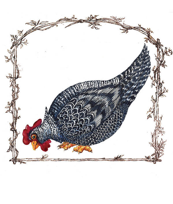 Chicken Hen Dominic-twig Border-brn Art Print featuring the mixed media Chicken Hen Dominic-twig Border-brn by Sher Sester