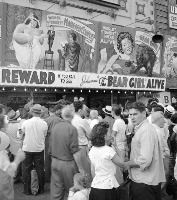 Amusement Park Art Print featuring the photograph Freak Show At Coney Island Holds A by New York Daily News Archive