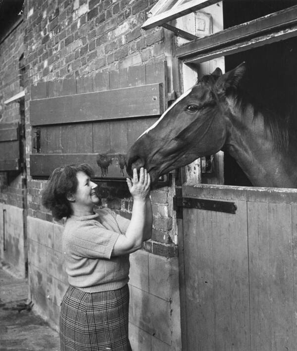 Horse Art Print featuring the photograph Horse In Stable by Bert Hardy