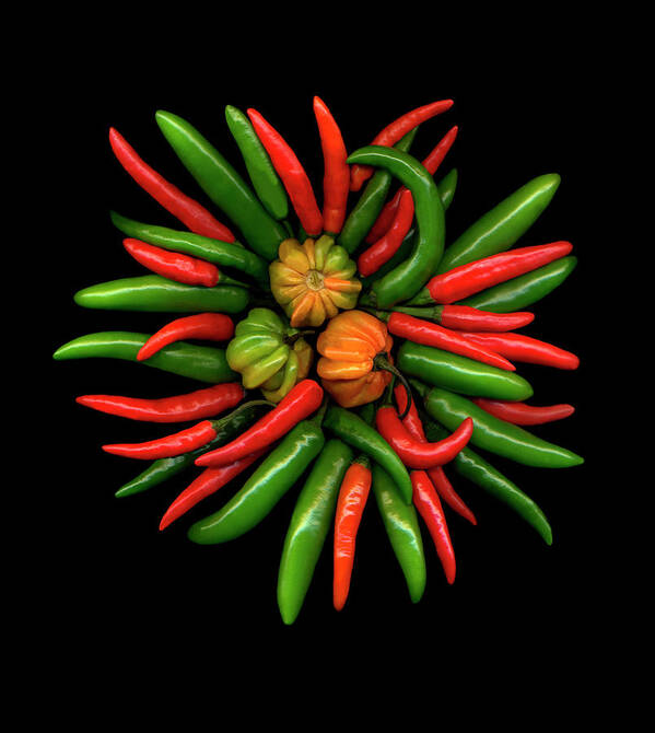 Peppers Art Print featuring the painting Hot Peppers #1 by Susan S. Barmon