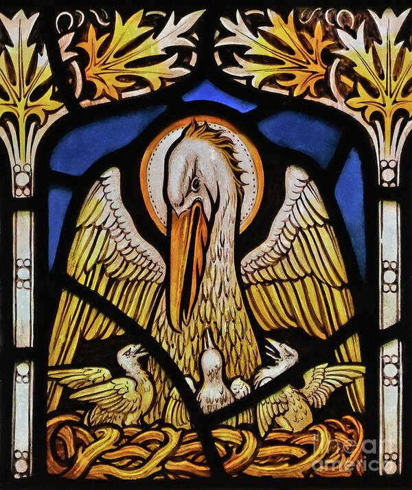 Pelican Feeding Young Bird Birds Stained Glass Window Detail Church Saint James Staveley Lake District National Park Cumbria England United Kingdom Europe World Heritage Site Art Print featuring the photograph Pelican feeding her young. by Stan Pritchard