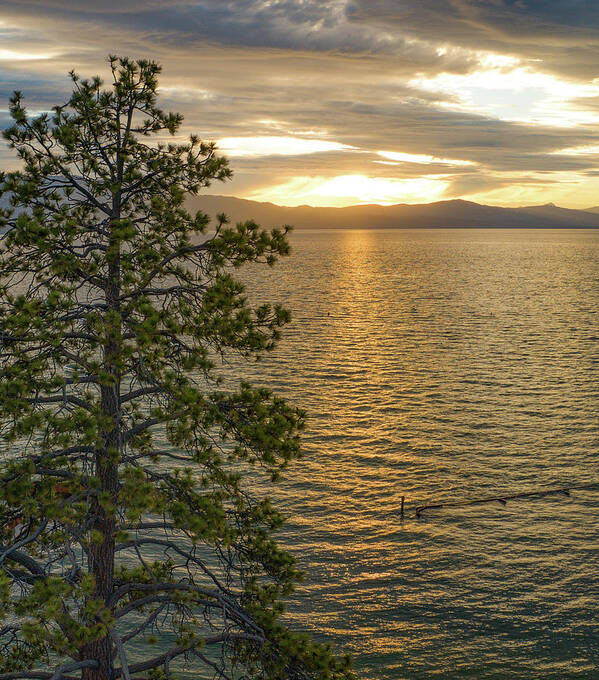 Lake Tahoe Art Print featuring the photograph Sunset Lake Tahoe by Anthony Giammarino