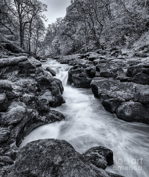 Landscape Art Print featuring the photograph The Strid No2, Yorkshire, England by Philip Preston