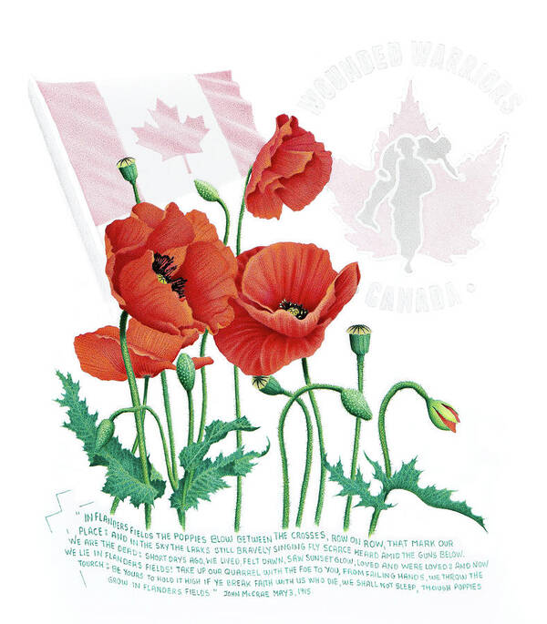 Poppies Art Print featuring the drawing We Honour and Support by Stirring Images