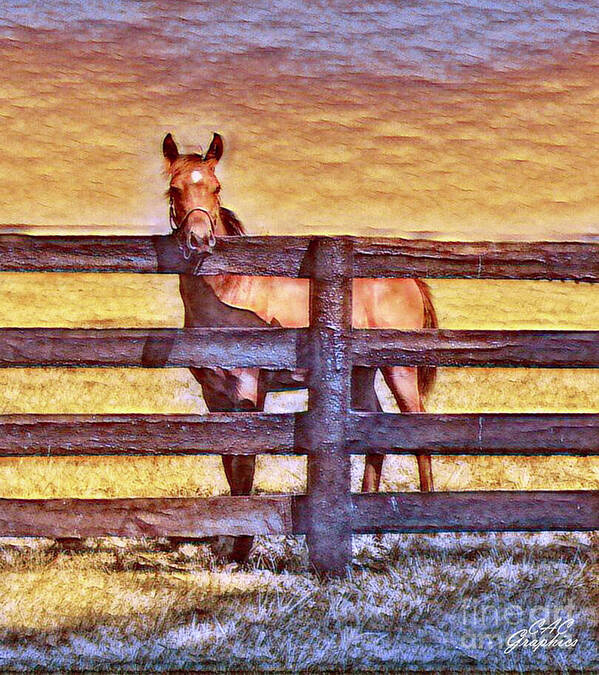 Horse Art Print featuring the digital art Young Kentucky Thoroughbred by CAC Graphics
