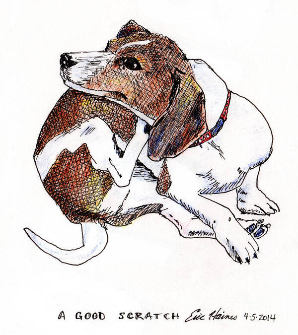 Dachshund Art Print featuring the drawing A Good Scratch by Eric Haines
