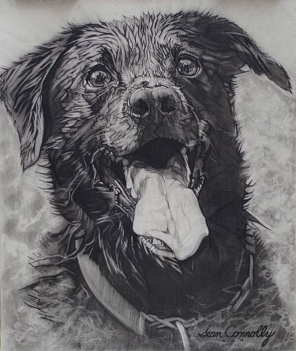 Charcoal Pencil Art Print featuring the drawing Charlie Dog by Sean Connolly