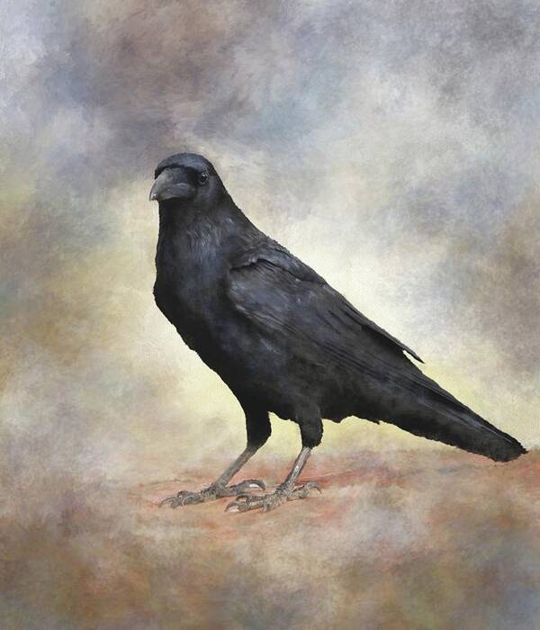 Bird Art Print featuring the mixed media Crow Raven Bird 88 by Lucie Dumas