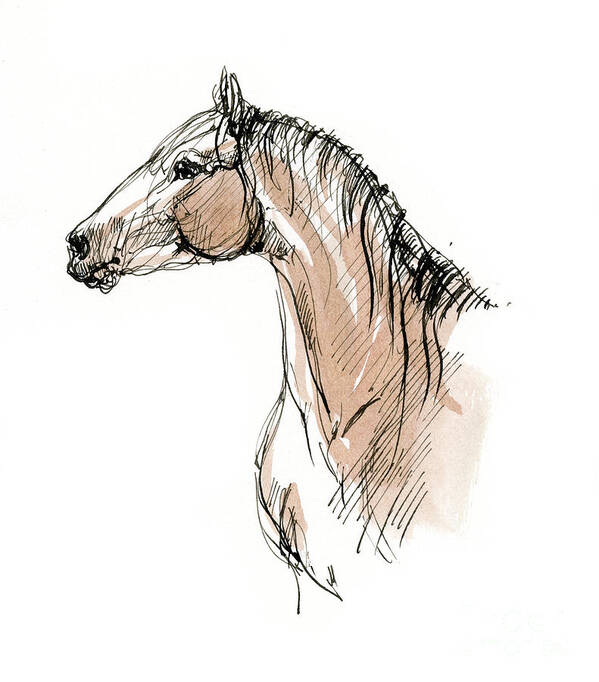 Horse Art Print featuring the drawing Horse head ink sketch 2019 12 02 by Ang El