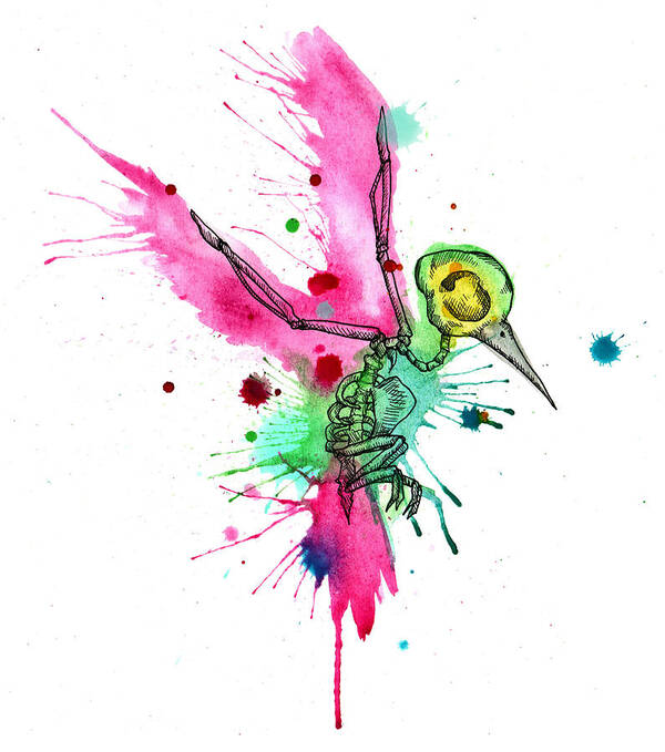 Watercolor Art Print featuring the drawing Hummingbird Skeleton by Ludwig Van Bacon