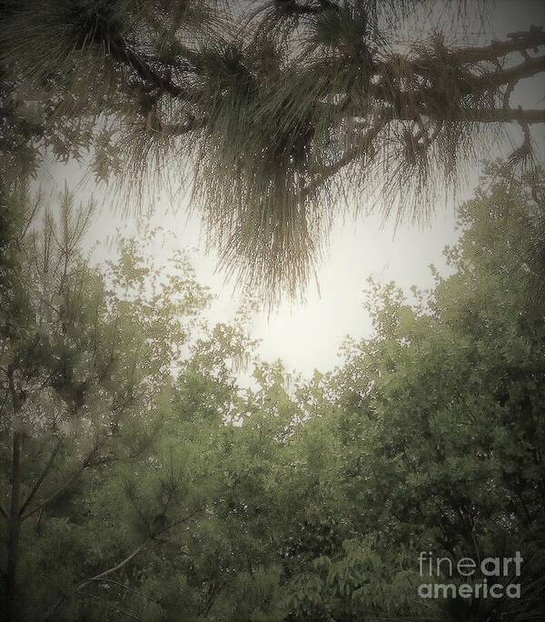 Heaven Art Print featuring the photograph Let Heaven And Nature Sing by Lynn Raizel Lane