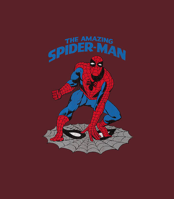 spider man  Amazing spiderman, Spiderman, Marvel spiderman art