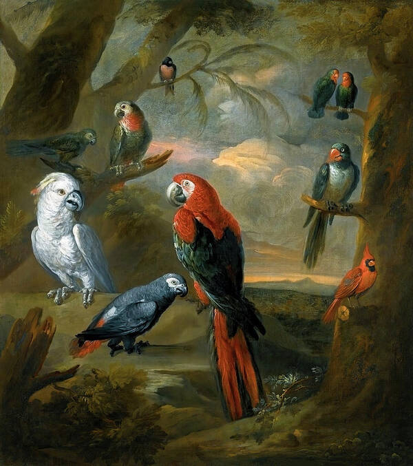 Parrots Art Print featuring the photograph Parrots by Tobias Stranover by Carlos Diaz