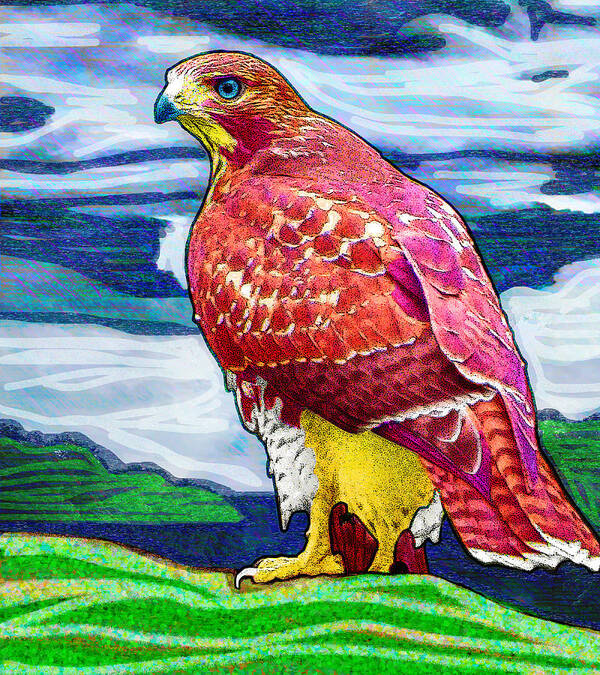 Birds Art Print featuring the digital art Rose Hill Hawk by Rod Whyte