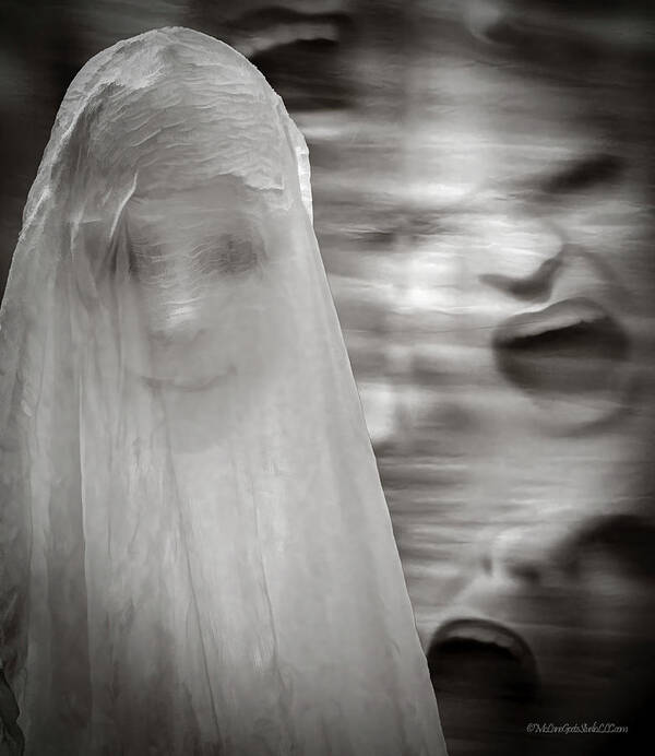 Halloween Art Print featuring the photograph The Ghosts by LeeAnn McLaneGoetz McLaneGoetzStudioLLCcom