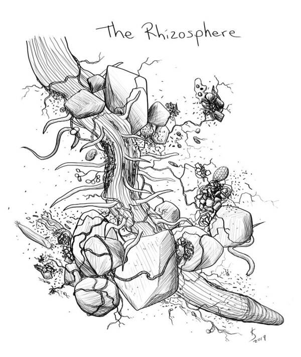 Rhizosphere Art Print featuring the digital art The Rhizosphere by Kate Solbakk
