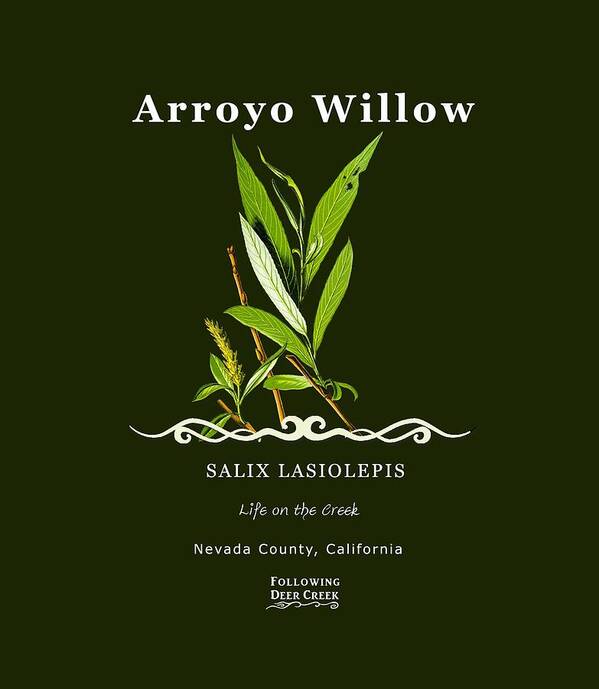 Arroyo Willow Art Print featuring the digital art Willow by Lisa Redfern