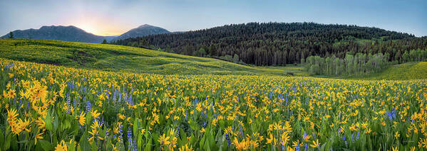 Caribou Mountains Idaho Panoramic by Leland D Howard