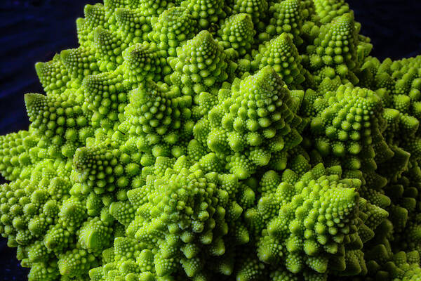 Image result for romanesco broccoli