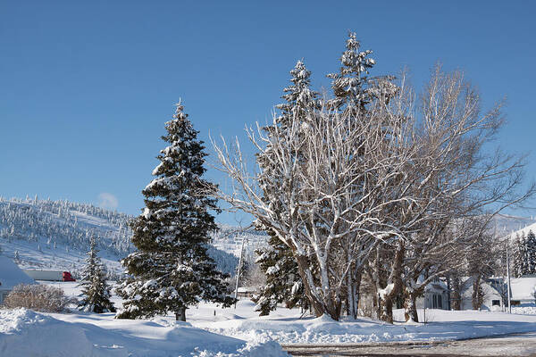 Winter Art Print featuring the photograph Winter Scene In Spencer Idaho by Tatiana Travelways