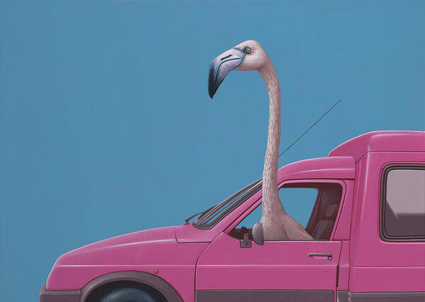 flamingo-jasper-oostland.jpg