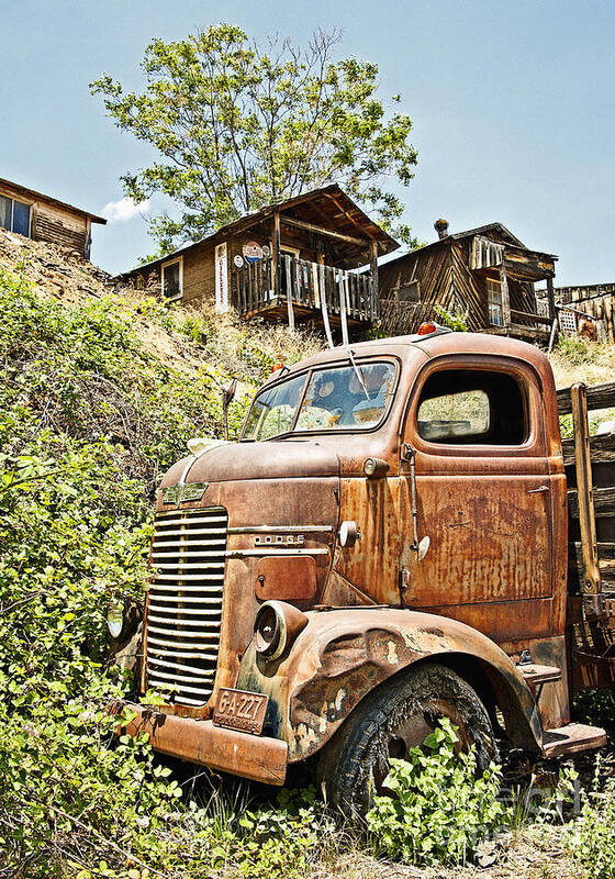 Rusty Art Print featuring the photograph Dodge at the Mining Camp by Lee Craig