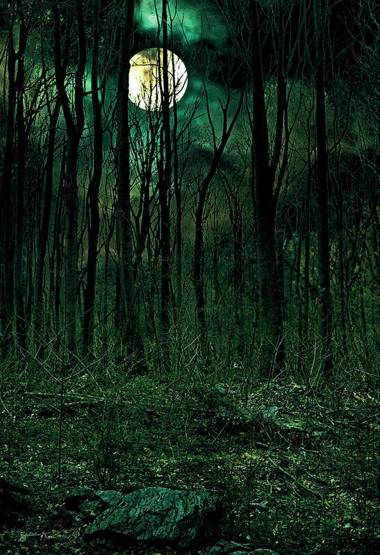 Landscape Art Print featuring the photograph Full Moon #1 by Gerlinde Keating