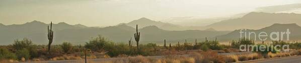 Arizona Art Print featuring the photograph Desert Hills by Julie Lueders 