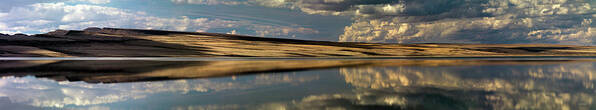 Alkali Lake Art Print featuring the photograph Lake Abert Panoramic by Leland D Howard