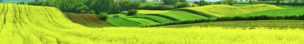 Scenics Art Print featuring the photograph Rolling Fields - Countryside Landscape by Konradlew