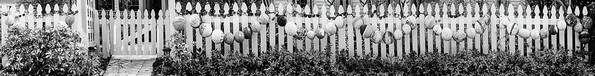 Black Art Print featuring the photograph Nautical Buoy Fence Black and White by Debra and Dave Vanderlaan