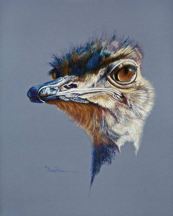 Mary Dove Art Art Print featuring the painting Attitude Aftican Ostrich by Mary Dove